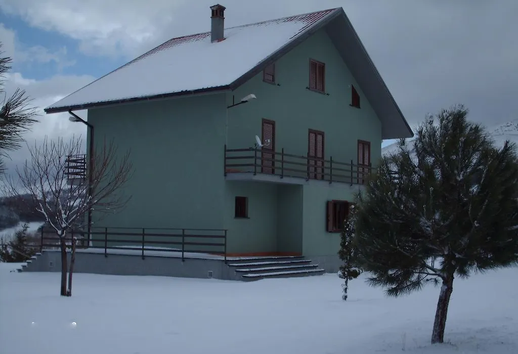 Green House-1