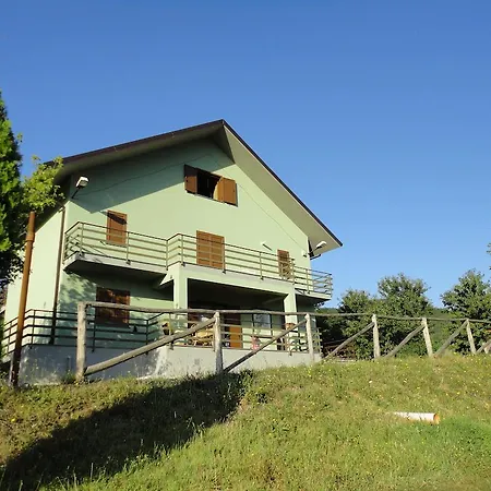 Green House-3