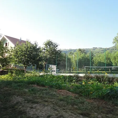 Green House-2